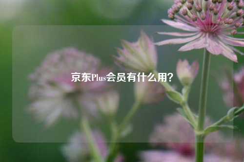 京东Plus会员有什么用？